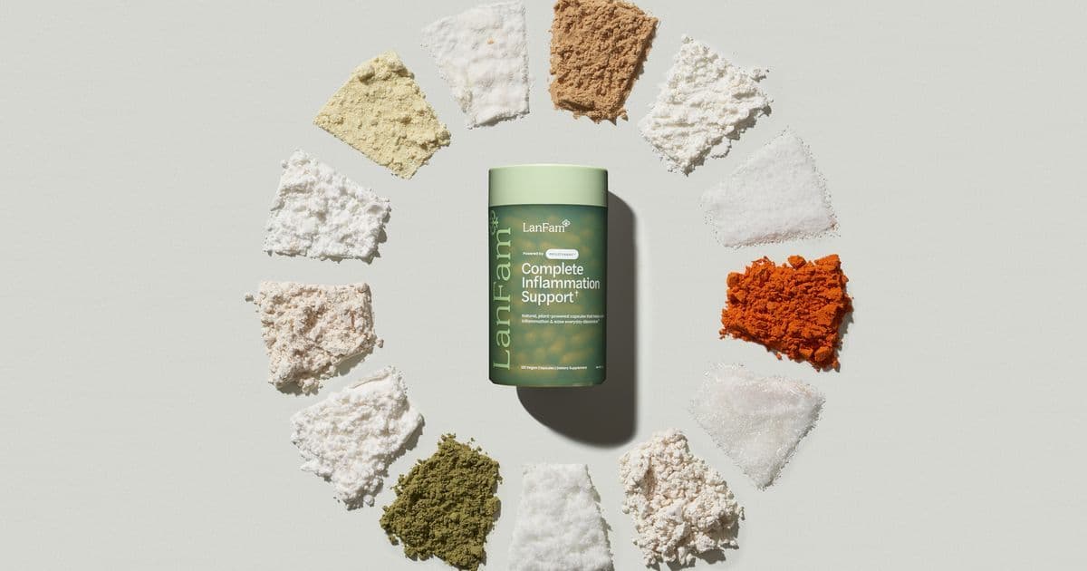 Supplement ingredients and botanicals arranged in a flat lay